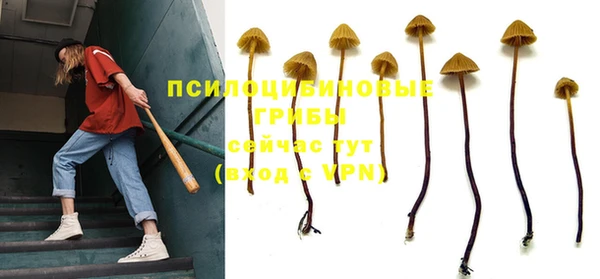 гидра Новодвинск