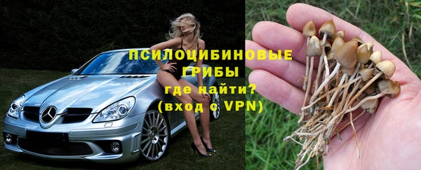 mdpv Балахна