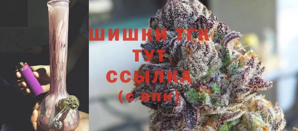гидра Новодвинск
