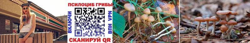 где можно купить   Ессентуки  MEGA маркетплейс  Галлюциногенные грибы GOLDEN TEACHER 