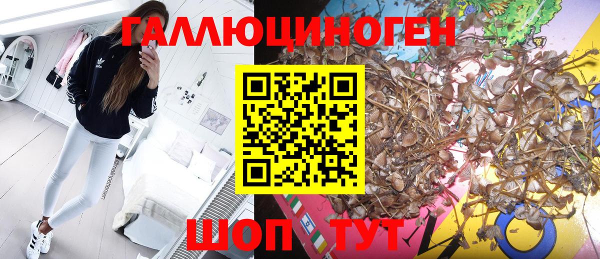 Галлюциногенные грибы мухоморы  Вход с VPN  Галлюциногенные грибы Cubensis  Ессентуки 
